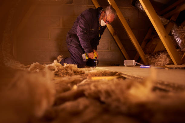 Best Crawl Space Insulation  in Grosse Pointe, MI